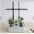 Indoor Garden Box Grow Kit Home Plant