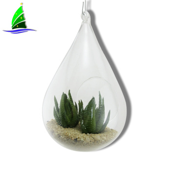 Succulent Glass Terrarium Tabletop