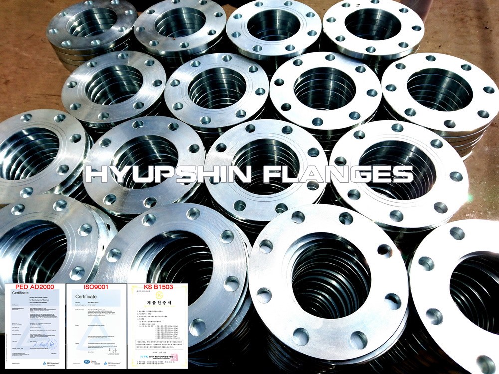 Hyupshin Flanges Ansi Backing Ring Plate