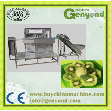 High Efficient Sliced Kiwi Drying Machine