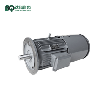 Slewing Motor for Slewing Gear of Tower Crane