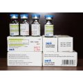 Amikacin Injection 100mg / 2ml, 500mg / 2ml &amp; Actd / Ctd Dossiê de Amikacin