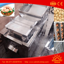 8000 Pieces Boiled Egg Peeling Machine Egg Shell Removing Machine