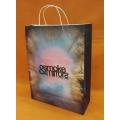 Christmas Color Printed Portable Paper Bag