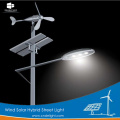 DELIGHT Garden Led Pole Wind Solar Light