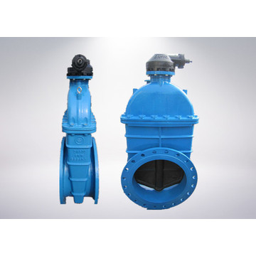 Ductile Iron Non Rising Stem Gate Valve