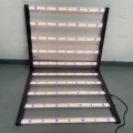 2023 1000w 10bar Blue IR Greenhouse Grow Light