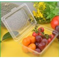 Plastic Frozen Food Tray Packaging for Frozen Chicken Meat