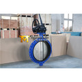 Monoflange Butterfly Valve with Al-Bronze Disc