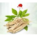 Extrait de ginseng (saponines totales de ginseng)