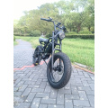 Ebike bicycle electric fat tire 48v 1000w