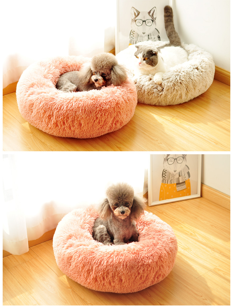 Pet Bed