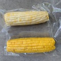 White Sweet Waxy Corn Cobs