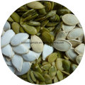 Pumpkin Seeds Without Shell for Sale