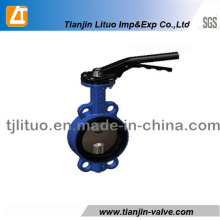 Cast Iron Tyflon Lined Butterfly Valve