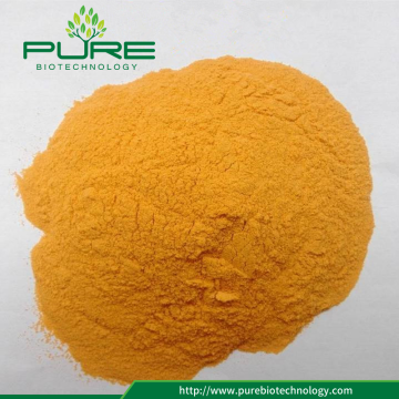 Freeze Dried Sea Buckthorn Powder with No Additives