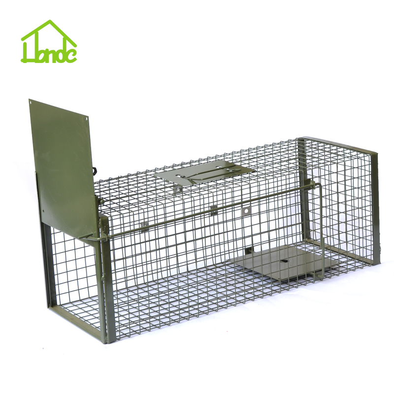 Possums Trap Cage