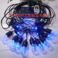 5V RGBW 15-head solar string light