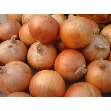 Good Taste Organic Yellow Onions