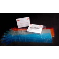 Disposable long arm veterinary gloves 100pcs/box