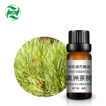 shampoo tea tree oil face and hair loss