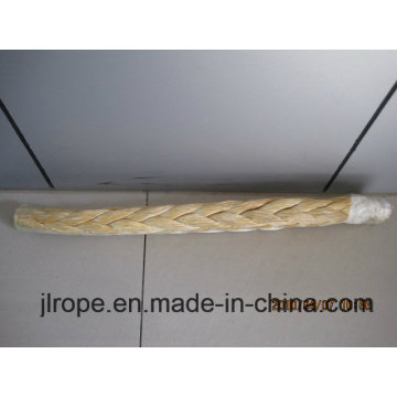 UHMWPE Rope / Hmpe Rope (Apporved By ABS)