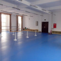 Soft PVC Dancing Floor Mats