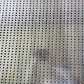 0.5mm-0.8mm Flat Perforated Mesh