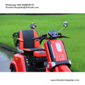 60 Range 400w Permanent Magnet Electric Trike