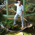 The Ultimate Pond Aspirateur et nettoyeur de piscine