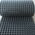 2.5m*30m Roll Height 10mm HDPE Drainage Board Sheet