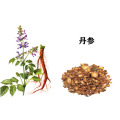 Herb Medicine Salvia Miltiorrhiza Extracto Tanshinone IIA Powder 20% Dan-Shen Extracto