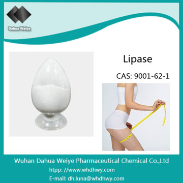 (CAS: 9001-62-1) Lipase recombinante hydrolysante de pétrole et de graisse