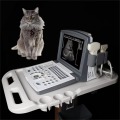 Scanner de diagnostic ultrasons B portable pour les animaux