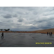 Geomembrane HDPE 2 mm pour étang