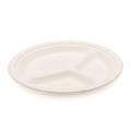 Bio compostable degradable tableware dinner sets 9 inch disposable sugarcane bassage paper pulp plate