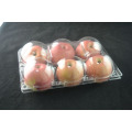 Transparent Plastic Clamshell Fruit Trays For 6000 G