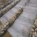 Pvc Coated Hexagonal  Gabion Mesh