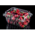 Blister Packaging Clear Plastic Clamshell Food Containers