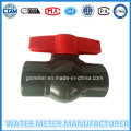 Control Type Ball Valves with Plastic Body of Dn15mm