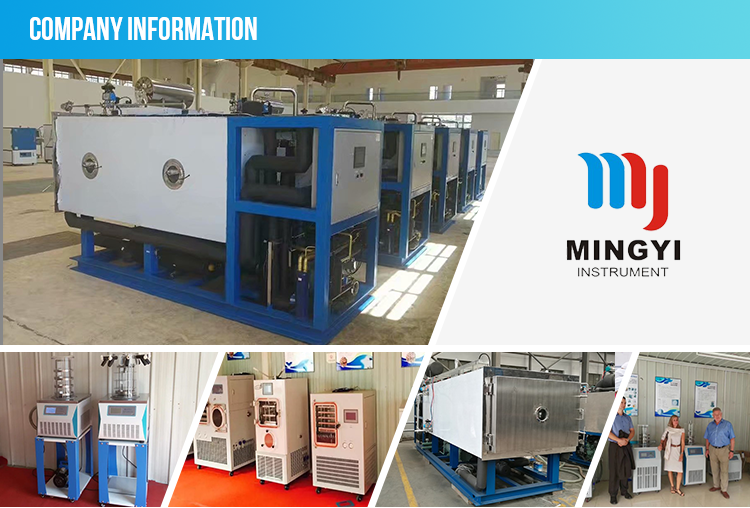 freeze drying equipment