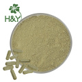 wholesale price baicalin 85% extract powder sale