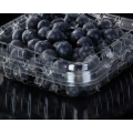 Top Sales Blueberry Punnet