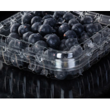 Top Ventas Blueberry Punnet