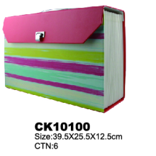 Customized Paper Expanding File Case