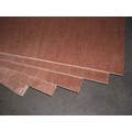 Packing Plywood Veneer Boards