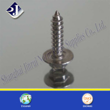 Hexagonal Head Hot Sale Tapping Screw