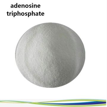 Buy online active ingredients adenosine triphosphate powder