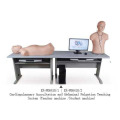 Kit d&#39;enseignement abdominal cardio