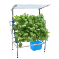 Greenhouse Garden Double Side Indoor Hydroponics Kit